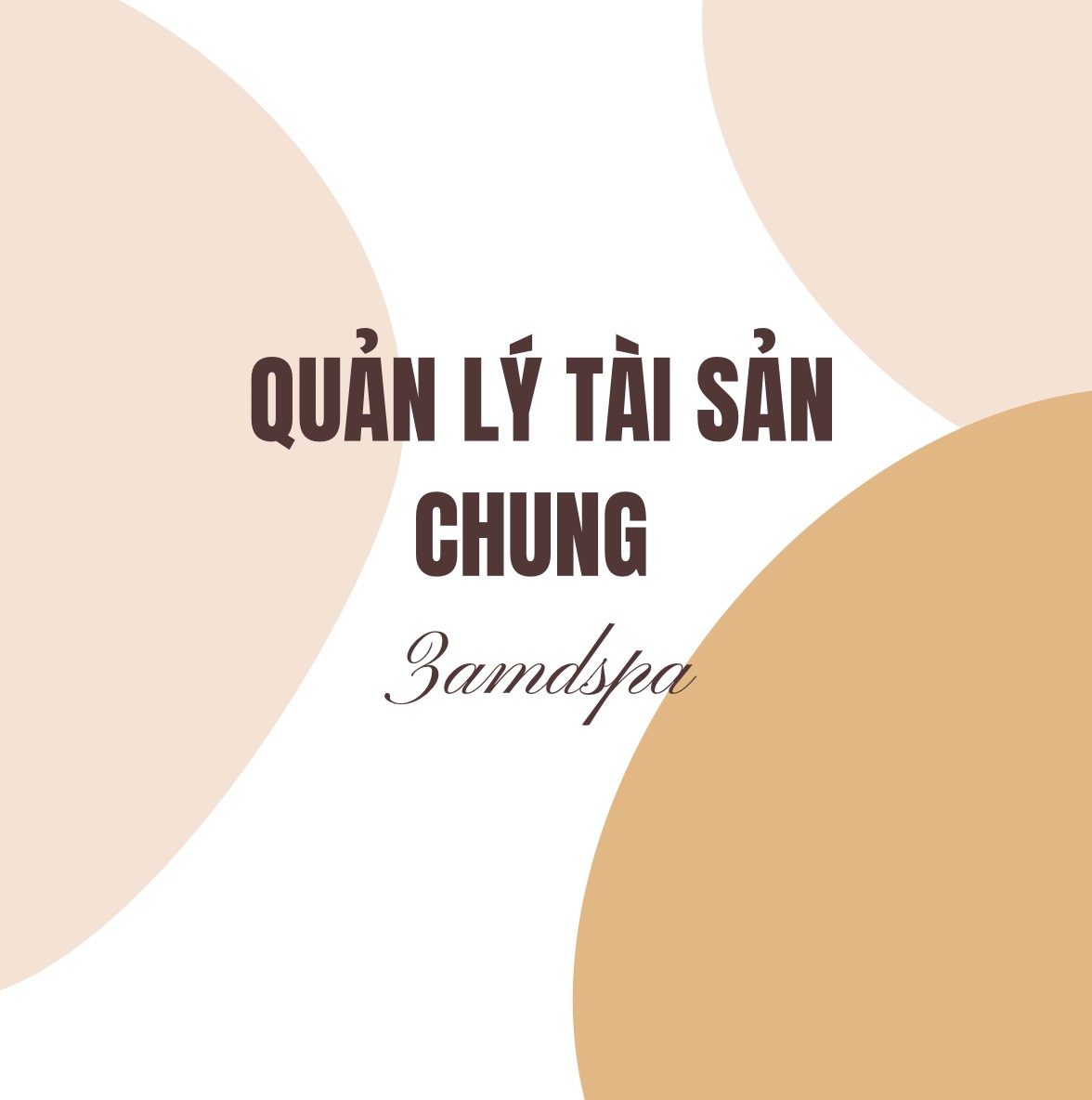 QUY ĐỊNH VỀ QUẢN LÝ TÀI SẢN CHUNG TẠI SPA